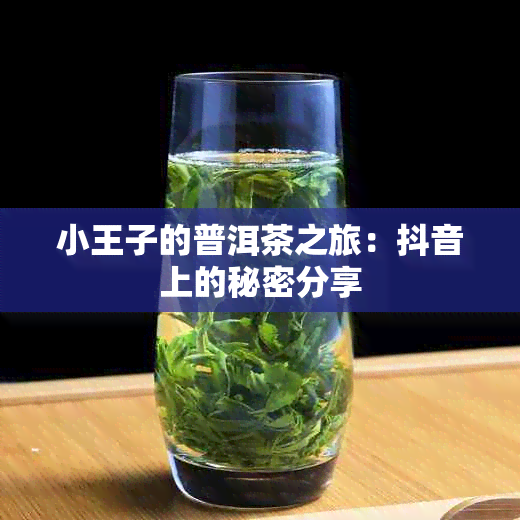 小王子的普洱茶之旅：抖音上的秘密分享