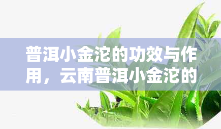 普洱小金沱的功效与作用，云南普洱小金沱的泡法及推荐