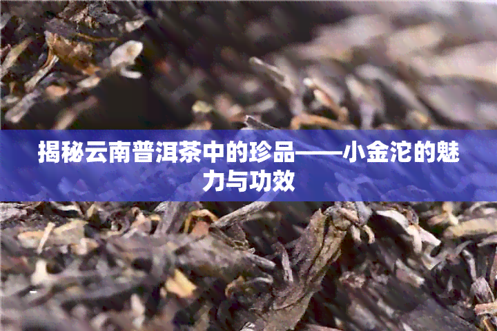 揭秘云南普洱茶中的珍品——小金沱的魅力与功效