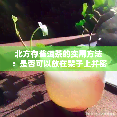 北方存普洱茶的实用方法：是否可以放在架子上并密封？