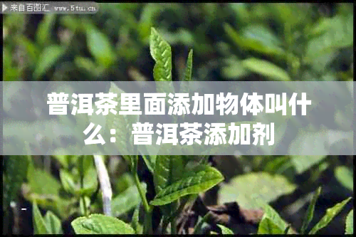 普洱茶里面添加物体叫什么：普洱茶添加剂