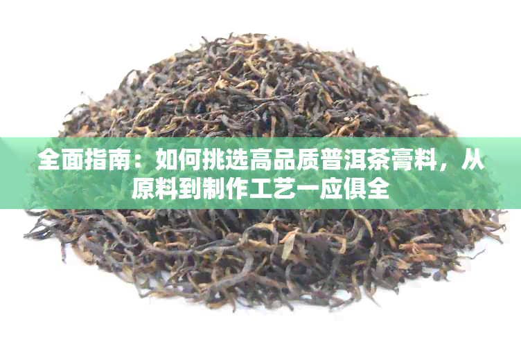 全面指南：如何挑选高品质普洱茶膏料，从原料到制作工艺一应俱全