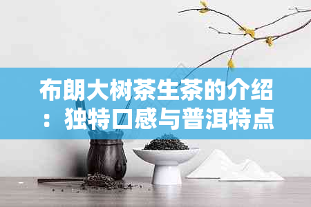 布朗大树茶生茶的介绍：独特口感与普洱特点，了解价格和制作工艺。