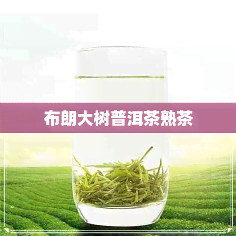 布朗大树普洱茶熟茶