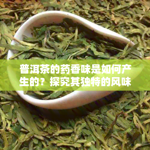 普洱茶的香味是如何产生的？探究其独特的风味秘密