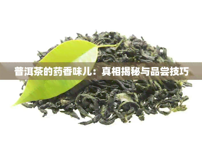 普洱茶的香味儿：真相揭秘与品尝技巧