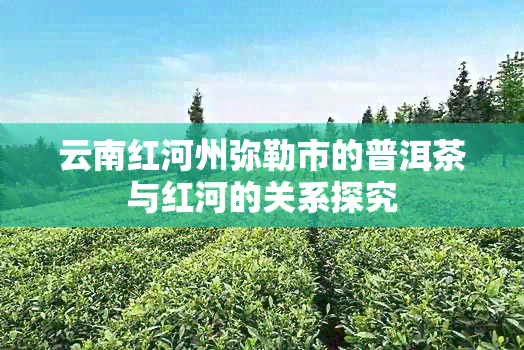 云南红河州弥勒市的普洱茶与红河的关系探究