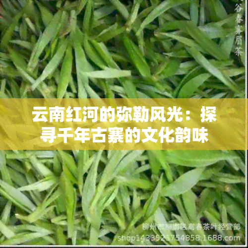 云南红河的弥勒风光：探寻千年古寨的文化韵味