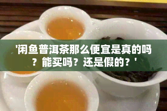 '闲普洱茶那么便宜是真的吗？能买吗？还是假的？'