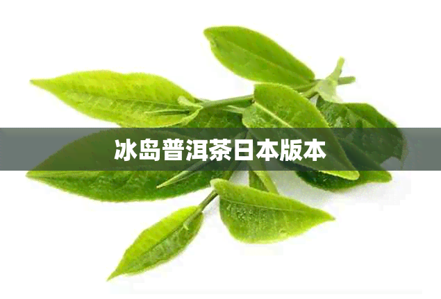 冰岛普洱茶版本