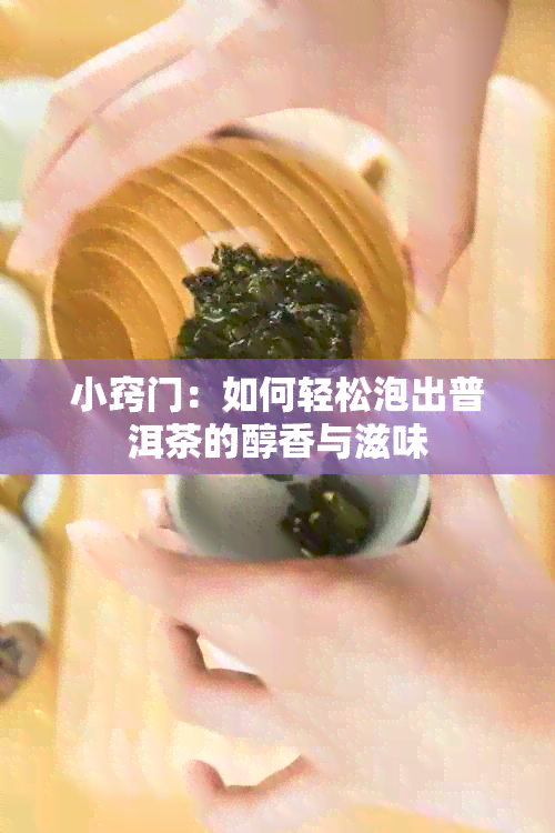 小窍门：如何轻松泡出普洱茶的醇香与滋味