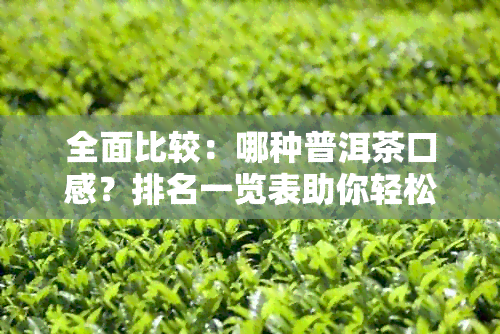 全面比较：哪种普洱茶口感？排名一览表助你轻松挑选！