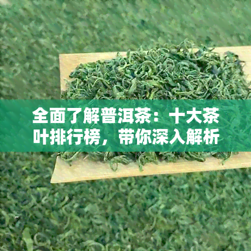 全面了解普洱茶：十大茶叶排行榜，带你深入解析各类普洱茶的特点与口感