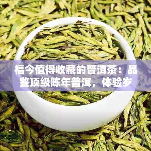 福今值得收藏的普洱茶：品鉴顶级陈年普洱，体验岁月沉淀的味道