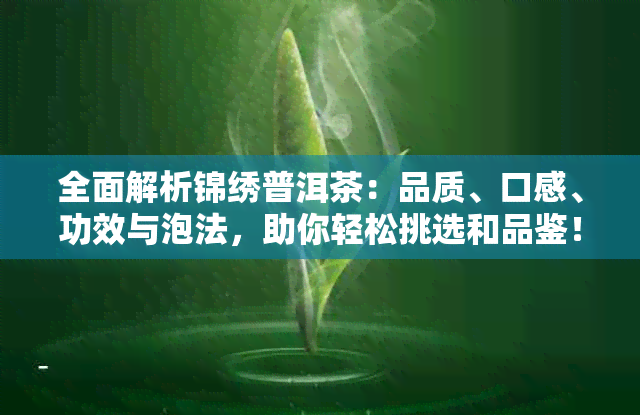 全面解析锦绣普洱茶：品质、口感、功效与泡法，助你轻松挑选和品鉴！