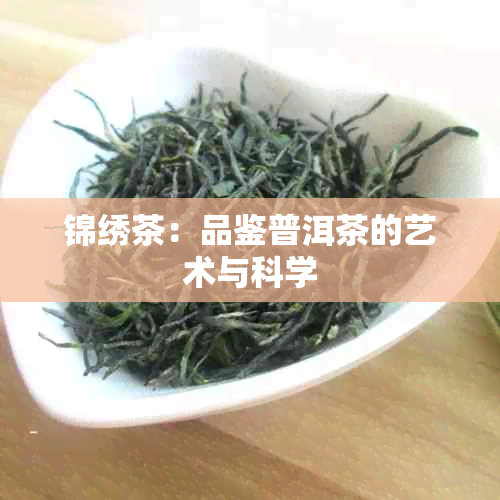 锦绣茶：品鉴普洱茶的艺术与科学