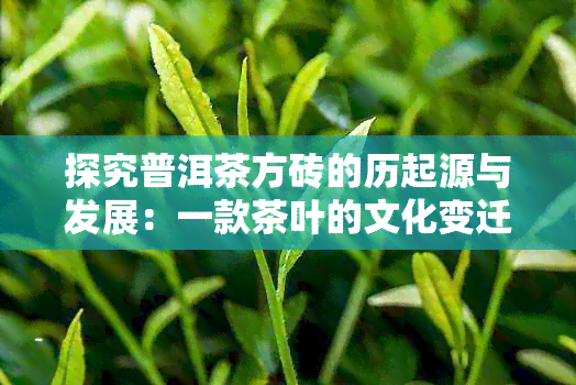 探究普洱茶方砖的历起源与发展：一款茶叶的文化变迁