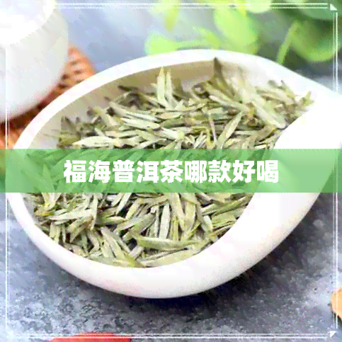 福海普洱茶哪款好喝