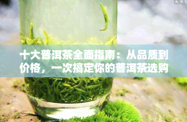 十大普洱茶全面指南：从品质到价格，一次搞定你的普洱茶选购需求