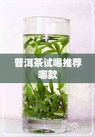 普洱茶试喝推荐哪款