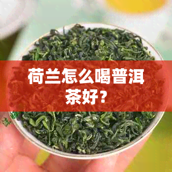 荷兰怎么喝普洱茶好？