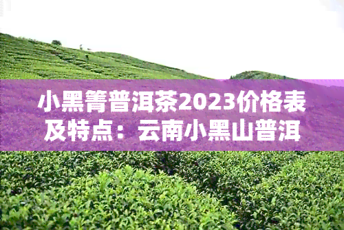 小黑箐普洱茶2023价格表及特点：云南小黑山普洱茶价格一览