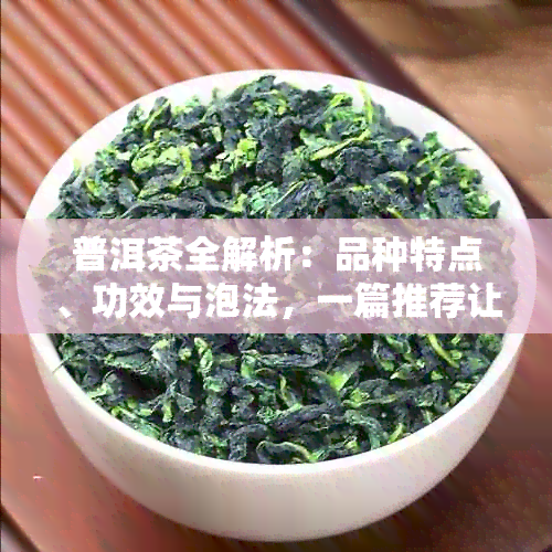 普洱茶全解析：品种特点、功效与泡法，一篇推荐让你轻松选购与品鉴