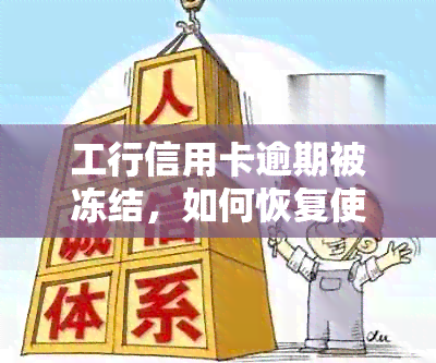 工行信用卡逾期被冻结，如何恢复使用状态？