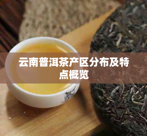 云南普洱茶产区分布及特点概览