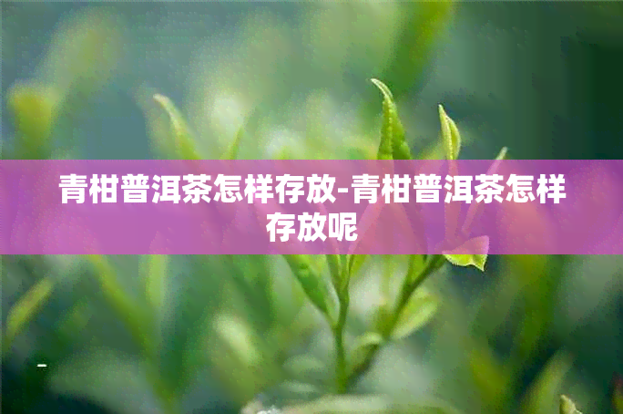 青柑普洱茶怎样存放-青柑普洱茶怎样存放呢