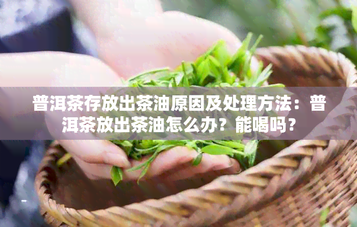 普洱茶存放出茶油原因及处理方法：普洱茶放出茶油怎么办？能喝吗？