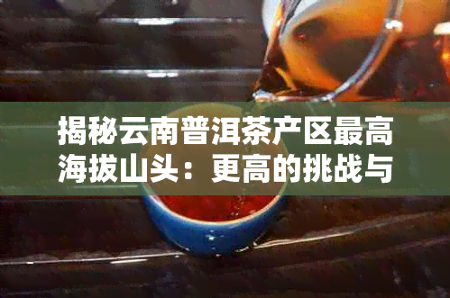 揭秘云南普洱茶产区更高海拔山头：更高的挑战与成就