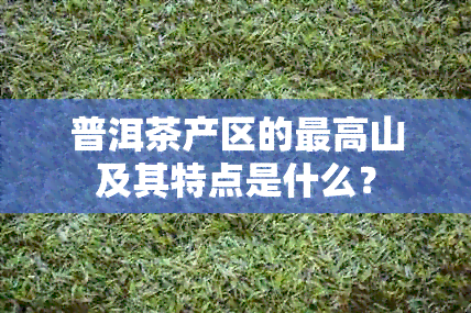 普洱茶产区的更高山及其特点是什么？