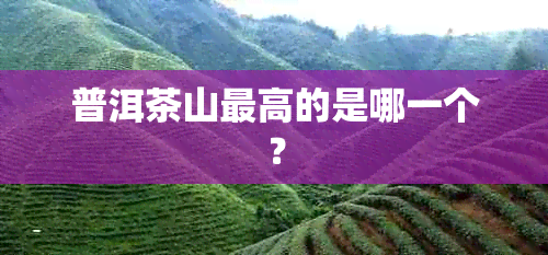 普洱茶山更高的是哪一个？