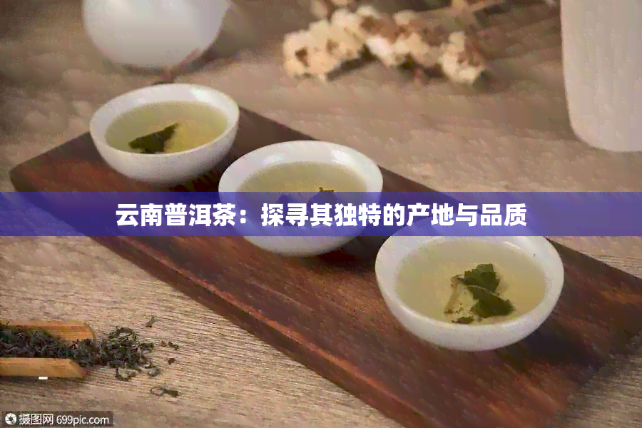 云南普洱茶：探寻其独特的产地与品质