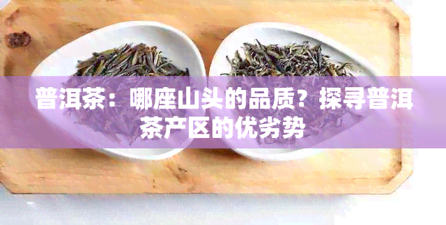 普洱茶：哪座山头的品质？探寻普洱茶产区的优劣势