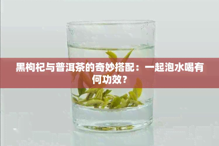 黑枸杞与普洱茶的奇妙搭配：一起泡水喝有何功效？