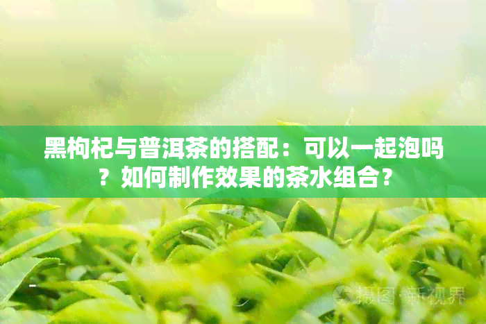 黑枸杞与普洱茶的搭配：可以一起泡吗？如何制作效果的茶水组合？