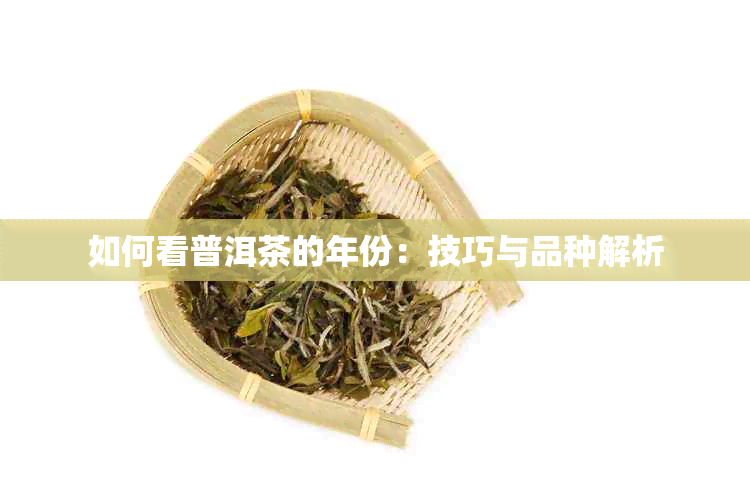 如何看普洱茶的年份：技巧与品种解析