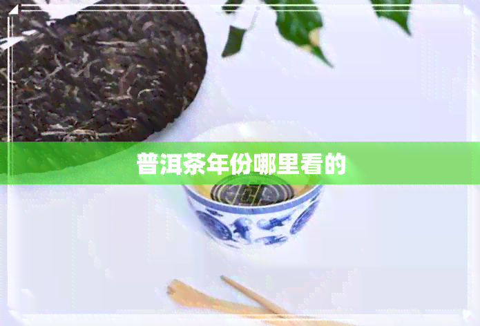 普洱茶年份哪里看的