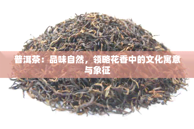 普洱茶：品味自然，领略花香中的文化寓意与象征