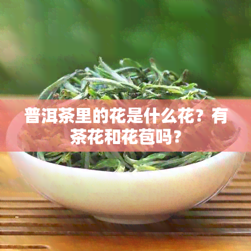 普洱茶里的花是什么花？有茶花和花苞吗？