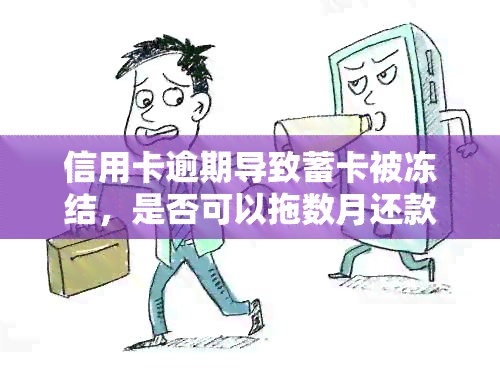 信用卡逾期导致蓄卡被冻结，是否可以拖数月还款？