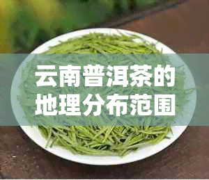 云南普洱茶的地理分布范围：探索其产地与种植区域