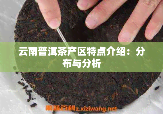 云南普洱茶产区特点介绍：分布与分析