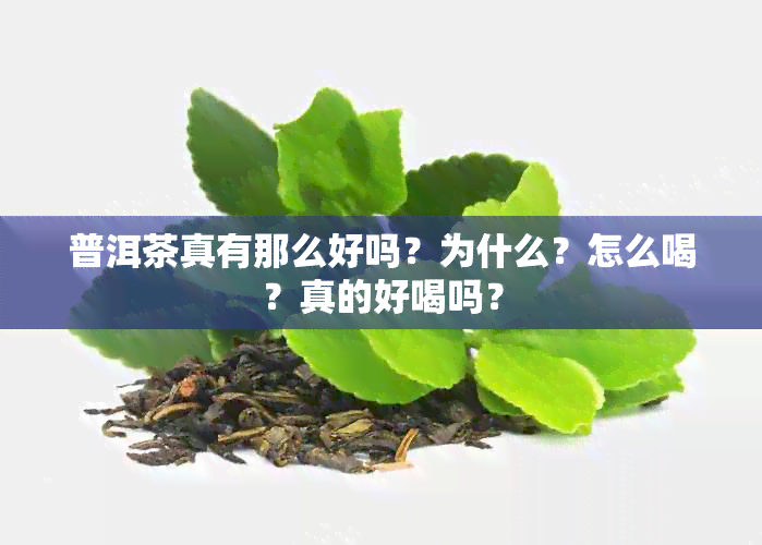 普洱茶真有那么好吗？为什么？怎么喝？真的好喝吗？