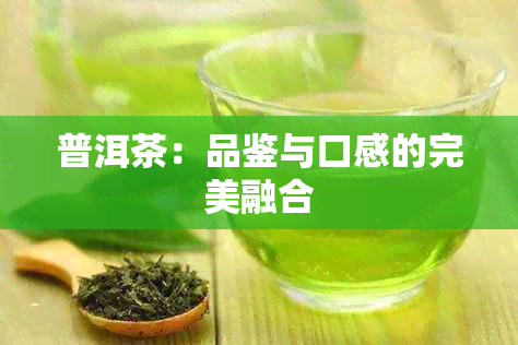 普洱茶：品鉴与口感的完美融合