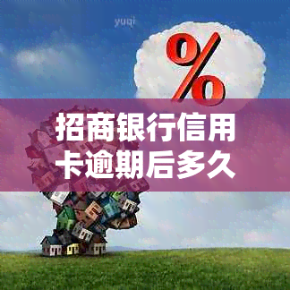 招商银行信用卡逾期后多久会被停用？详细解答与预防措