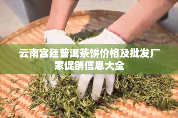 云南宫廷普洱茶饼价格及批发厂家促销信息大全