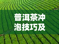 普洱茶冲泡技巧及几种经典泡法